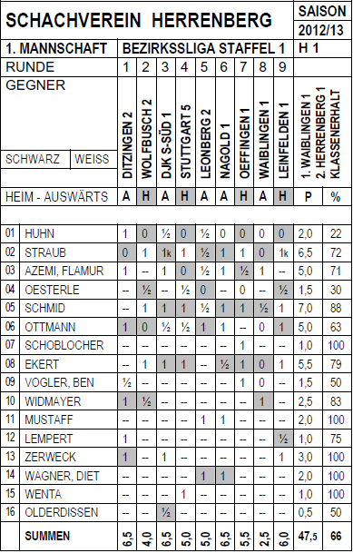 Erste Mannschaft 2012/13